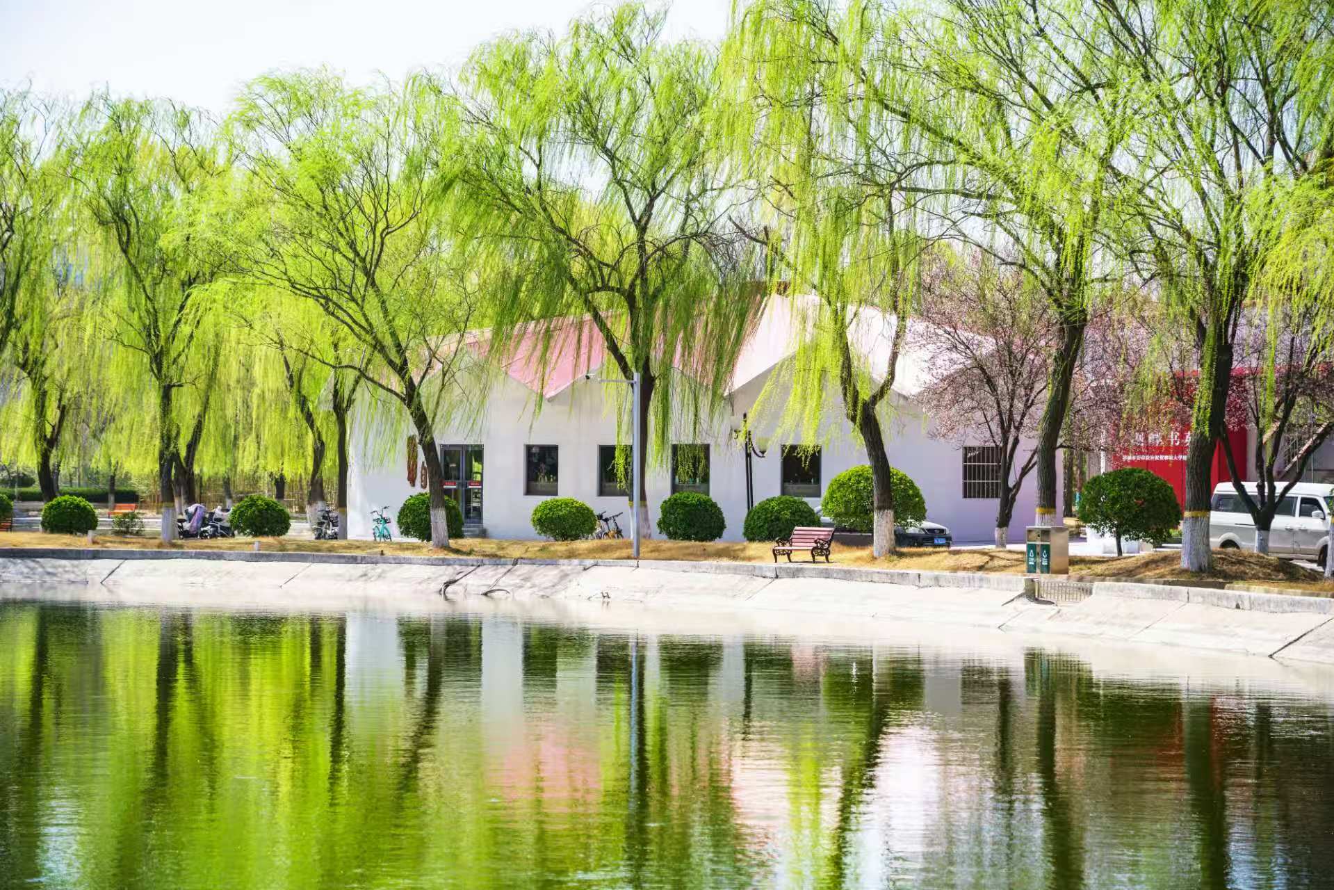 聊大讲坛：中国画本体论的逐步建构